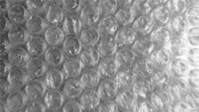 Horizontal background of bubble wrap texture with halftone effect.