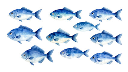 Obraz premium set of fish isolated