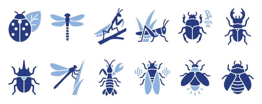Set of diverse insect and beetle icons like ladybug, dragonfly, mantis, and cicada suitable for