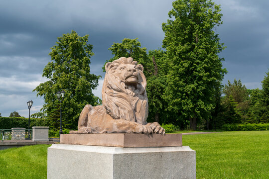 Strelna, St. Petersburg, Russia, June 12, 2025: The sculpture of a lion in the Lower Park of the Palace and Park Ensemble of the Konstantinovsky Palace on a sunny summer day