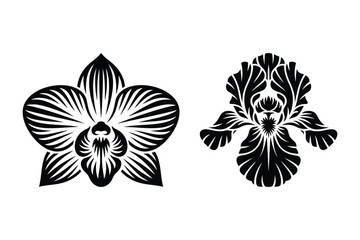 Set of black and white orchid and iris flower silhouette vector illustrations © Sadek