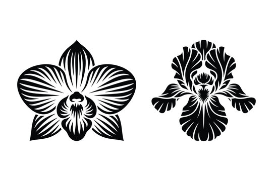 Set of black and white orchid and iris flower silhouette vector illustrations