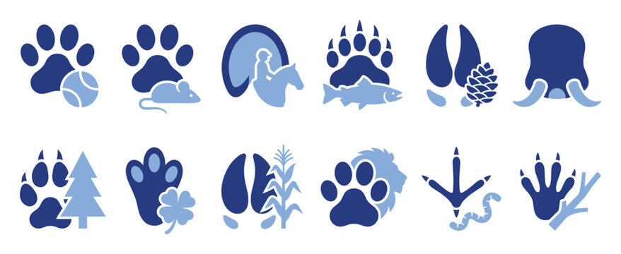 Set of animal tracks and paw prints in nature for wildlife identification and educational resources
