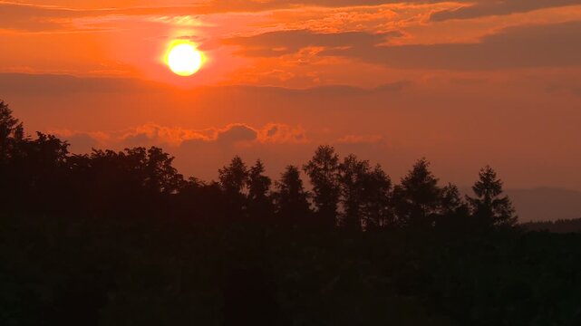 林の向こうに沈み行く夕日