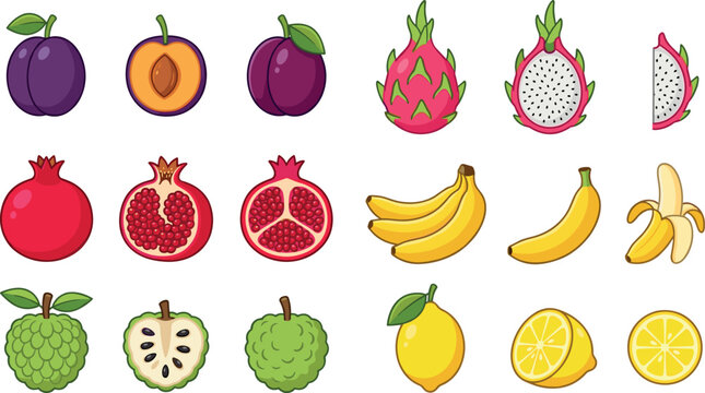 Colorful Tropical and Exotic Fruit Vector Collection Featuring Plum, Apricot, Dragon Fruit, Pomegranate, Banana, Cherimoya, and Lemon for Food, Grocery, and Healthy Designs