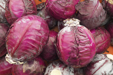 Fototapeta premium Fresh red cabbage in a market setting with bright colors
