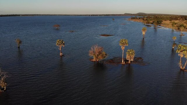 Big trees situated on a flooded swampy area during a hot day. Landscape of wetland conservation area in Buriram, Thailand.
