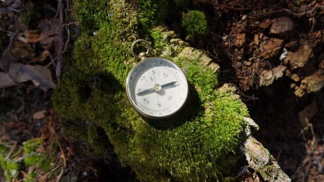 Vintage Compass Lying On Forest Ground Among Mossy Roots And Pine Needles Sunlight Rays Highlight Magnetic Pointer Showing Direction Navigation Adventure Nature 4K 