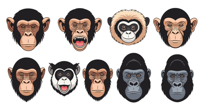 Illustration set of various primate faces including chimpanzees, gorillas, and gibbons with different expressions.