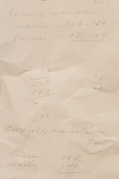 vintage crumpled, paper note texture