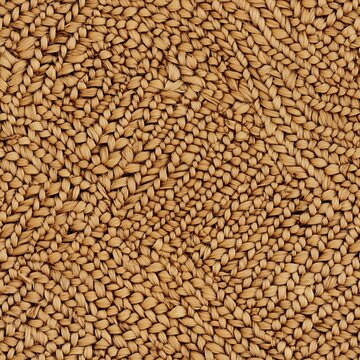 Overhead full-frame photograph of circular rattan placemat with intricate woven pattern, natural light highlighting textures and shadow depth