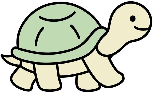 거북이
