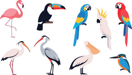 Colorful Exotic Bird Collection With Flamingo, Toucan, Parrot, Pelican, Heron, and Kingfisher Vector Illustration © MDNUR