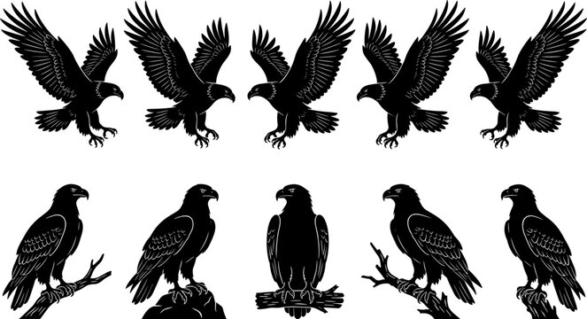 Flying and Perched Eagle Silhouette Icon Set with Hawk Falcon and Bird of Prey Symbols for Nature Wildlife and Corporate Mascot Logo Designs