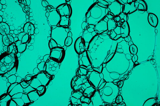 Vibrant Macro Liquid Bubbles with Neon Gradient Background