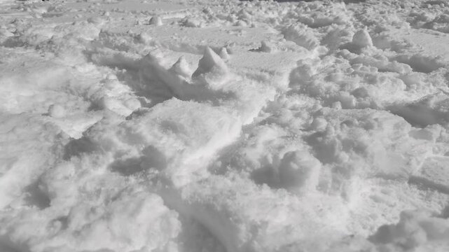 Winter snow covers the ground in a white layer