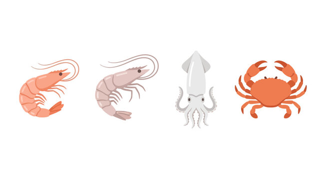 Collection of hand drawn seafood illustrations featuring shrimp prawn squid and crab.
