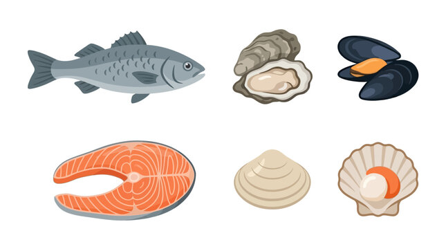 Set of fresh seafood fish shellfish and salmon steak.