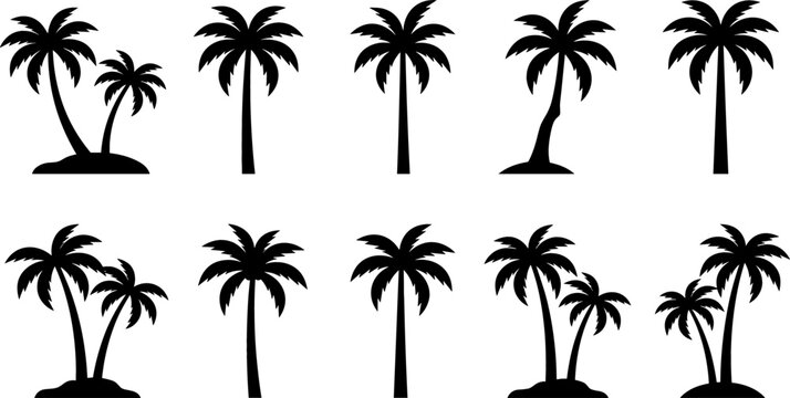 Tropical Palm Tree Silhouette Icon Set with Coconut Palms and Island Elements for Summer Vacation Beach Resort Travel Logo Templates and Graphic Designs
