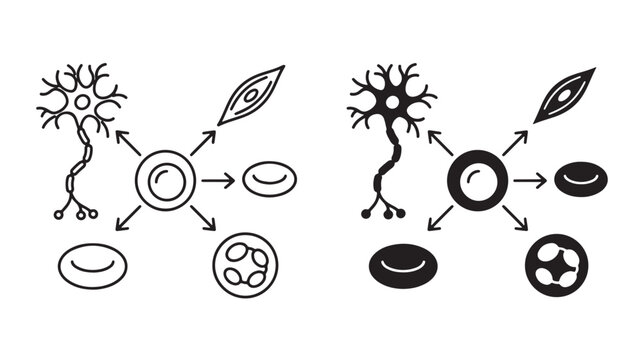 Neuron Cells And Organelles Diagram For Biology Education And Medical Concepts