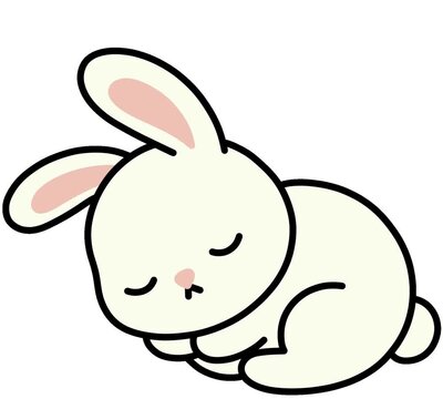 토끼