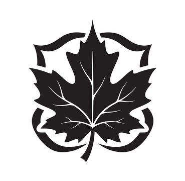 Stylized maple leaf within a shield with silhouette botanical isolated illustration detailed stylized minimalist representation