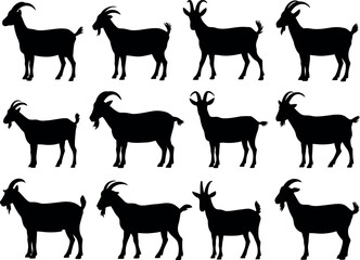 Fototapeta premium Collection of goat silhouettes with horns silhouette livestock standing collection