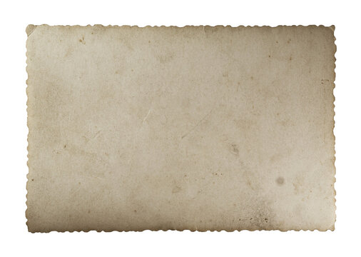 Aged vintage photo paper back with subtle stains, worn scalloped edges and authentic antique texture isolated on transparent background.