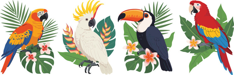 Fototapeta premium Tropical Birds Macaw Cockatoo Toucan Collection parrot