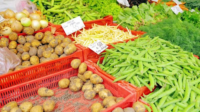 Fresh Latvian vegetables potatoes beans onions lettuce and herbs at local market