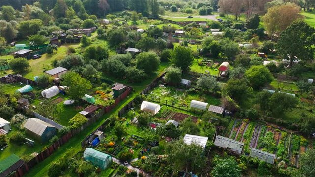 Tosmare garden district in Liepaja, drone flying over allotments and greenery