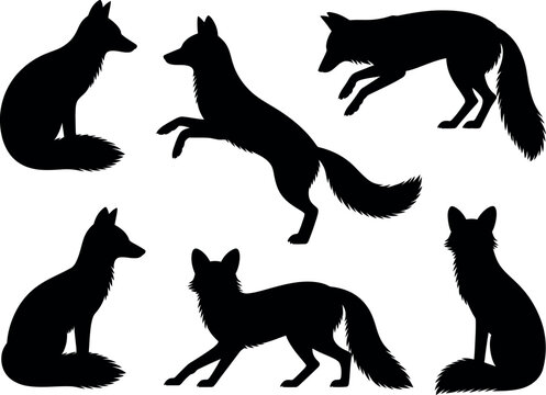 Collection of black silhouettes of foxes in various poses with silhouette, wildlife