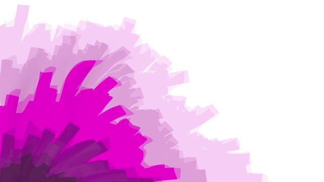 Abstract vibrant pink and purple spiky design radiating from the corner on a clean white background.. Endless motion video.