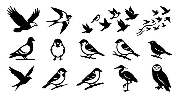 Vintage bird vector set with rustic woodcut engraved silhouettes and hand drawn songbird illustration stamps