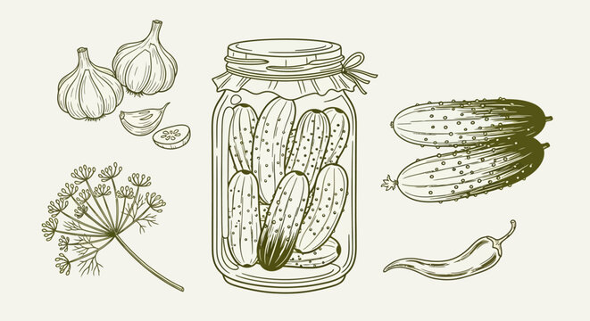 Pickle, cucumber, and spice vector icons, jar, garlic, dill, hot pepper, food illustration