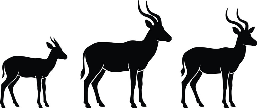 Antelope silhouette vector illustration set, African impala gazelle black shape icon design element isolated on white background.