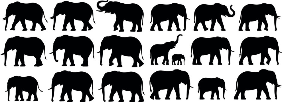 Multiple black elephant silhouettes including baby elephants with elephant, silhouette