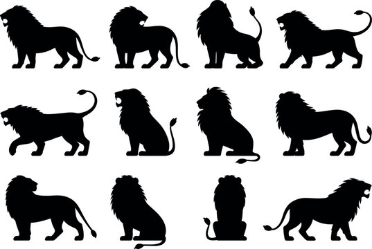 Collection of black lion silhouettes in various poses with silhouette, wildlife