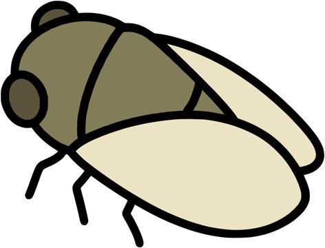 cute summer cicada insect