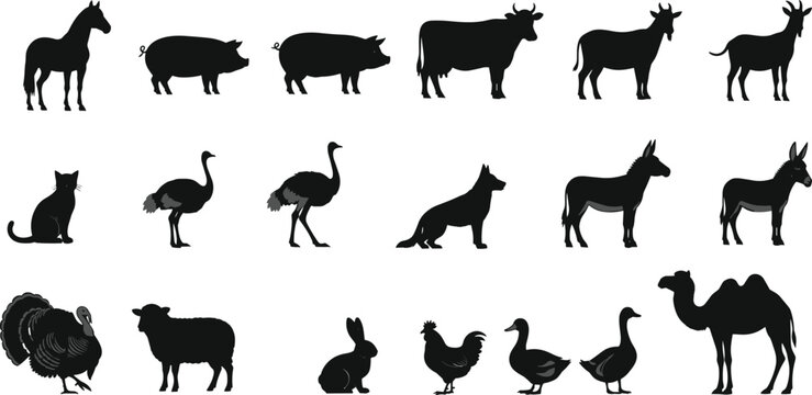 Farm animal silhouettes of horse, cow, pig, goat, dog, cat, camel, poultry, vector illustration design, domesticated livestock graphics art