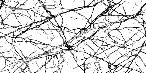 Obraz premium Abstract White Marble Vein Texture with Fine Black Cracks and Luxury Stone Background Design.