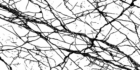 Fototapeta premium Abstract Tree Branch Shadow Texture Background with Black Ink Line Artistic Pattern Design.