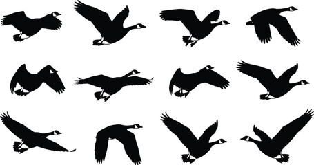 Flying geese silhouette vector illustration collection, bird flight cycle artwork, stylized wildlife graphic design icons for nature, migration, animation symbol © Hamida