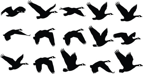 Flying geese silhouettes vector illustration, bird motion icon design, avian wing symbol artwork, flight dynamics concept background set © Hamida