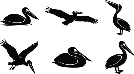 Fototapeta premium Pelican Bird Silhouette Collection Featuring Flying and Standing Coastal Wildlife Shapes for Nature, Marine, and Animal Design Projects