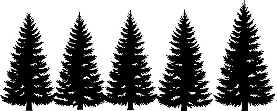 Row of evergreen tree silhouettes arranged side by side, showcasing natural triangular forms, dense branches, and forest inspiration for design