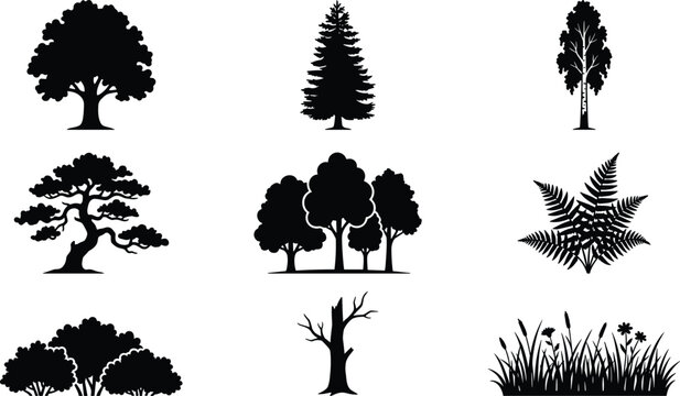 Minimalist black tree and plant silhouettes featuring deciduous, coniferous, bonsai, shrubs, ferns, grasses, and leafless forms for creative design use