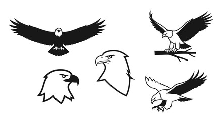 Obraz premium Majestic eagle vector collection with multiple poses soaring, perching, and detailed head profiles, perfect for logo and emblem designs