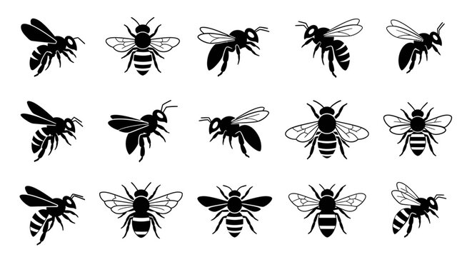 Collection of stylized illustrations of various bee species, depicted in a minimalist, graphic art style, showcasing their distinct forms and aerial movements