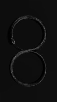  Black snake circle loop background portrait
